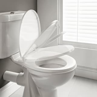 397096-soft-close-toilet-seat