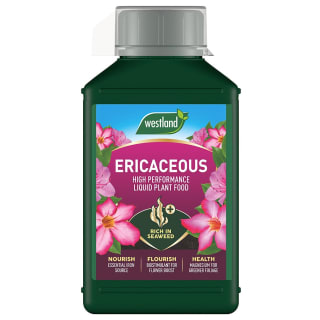 Westland Specialist Ericaceous Plant Food 1L