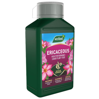 397212-specialist-ericaceous-plant-food-1l1