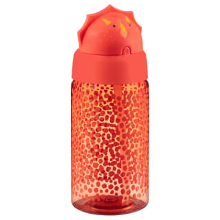 398584-kids-animal-bottle-dinosaur