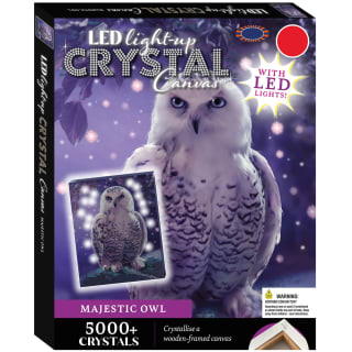 LED Light-Up Crystal Canvas - Majestic Owl