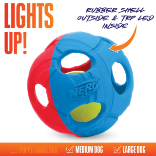 399534-nerf-dog-light-up-and-squeak-2pk-2