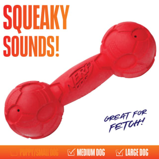 399534-nerf-dog-light-up-and-squeak-2pk-5