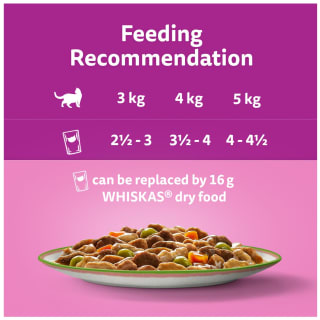399662-whiskas-1-plus-tasty-mix-chef-choice-in-gravy-cat-pouches-40-x-85g