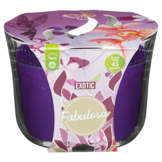 Fabulosa Candle - Exotic