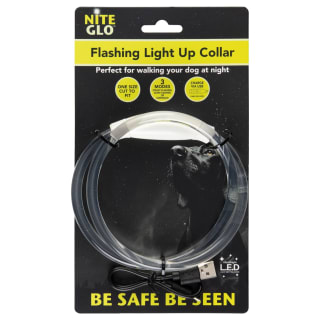 Flashing USB Dog Collar