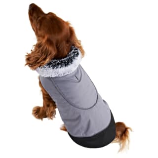 Water Resistant Padded Dog Coat - Small