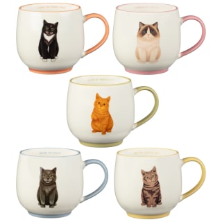 400314-cat-breeds-mug-group2