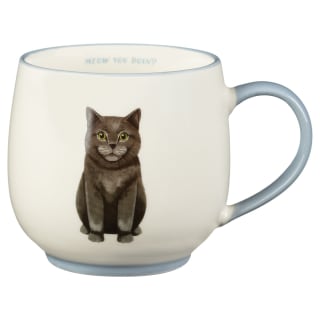 400314-cat-breeds-mug-meow-you-doin