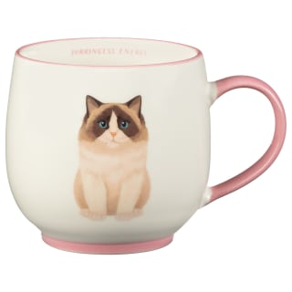 400314-cat-breeds-mug-purrincess-energy1