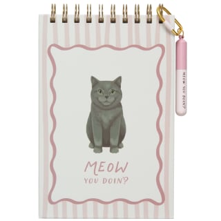 400315-cat-notebook