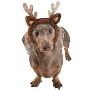 400533-christmas-headband-reindeer-2