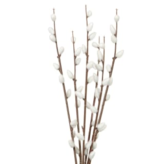 400849-pussy-willow-in-black-vase-2