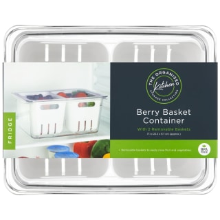 400960-berry-basket-container-2
