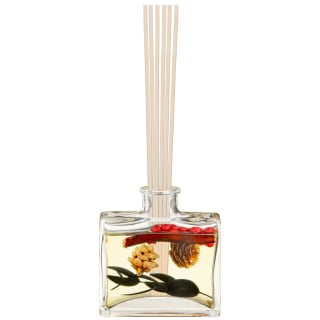 Fruit Filled Diffuser - Winter Berry