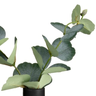 401021-black-circular-vase-with-eucalyptus-2