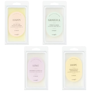 401132-401536-401538-401539-8pk-scented-wax-melts-group