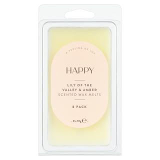 Scented Wax Melts 8pk - Happy