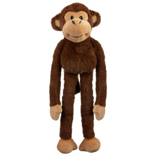 402924-long-legs-safari-animals-monkey-3