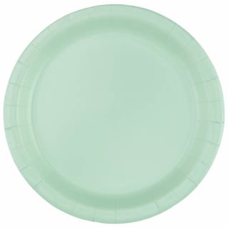 403798-20pk-round-coloured-plates-girls-green