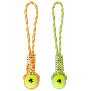 404317-tennis-ball-rope-toy-group