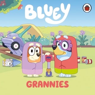404626-bluey-story-books-grannies
