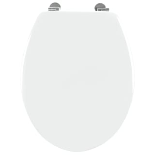 404643-wooden-toilet-seat-white-4