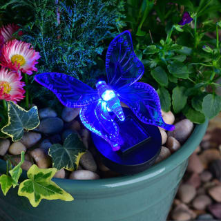 404759-solar-insect-stake-light-cool-white-led-butterfly-blue