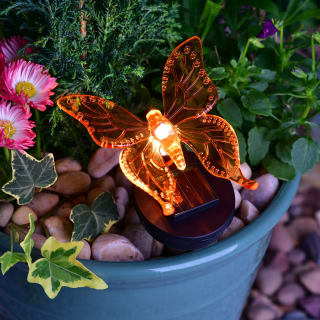 Solar Living Insect Stake Light - Orange Butterfly
