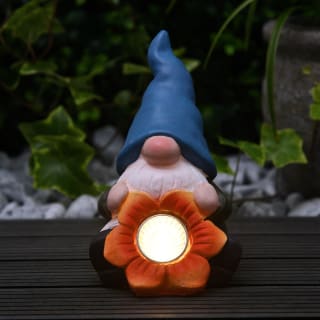 404798-solar-gonk-with-flower-blue