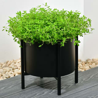 New York Medium Metal Planter on Stand - Black