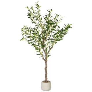 405247-olive-tree-in-pot-grey