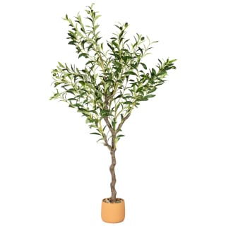 405247-olive-tree-in-pot-terracotta