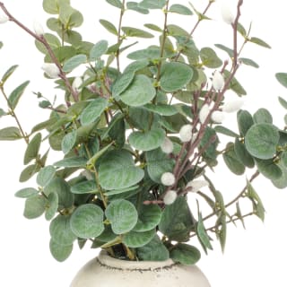 405612-large-vase-with-eucalyptus-2