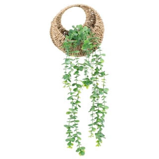 Hanging Eucalyptus in Woven Basket
