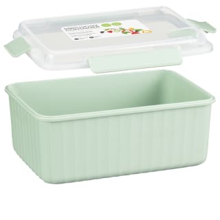 405655-ribbed-clip-lock-container-1600ml-sage