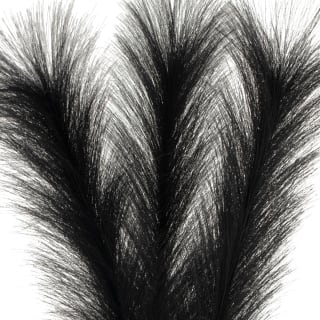 405751-ribbed-vase-with-black-pampas-2