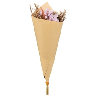 Blooms Mini Dried Bunches - Assorted