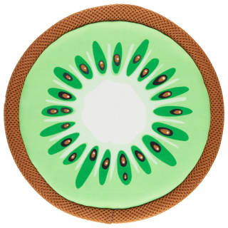 406410-summer-fruity-flyer-kiwi