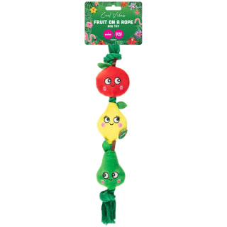Cool Vibes Summer Fruit on a Rope Dog Toy