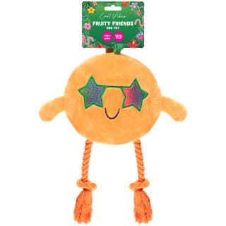 406412-summer-fruit-toy-orange
