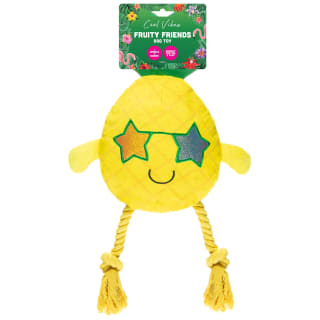 Cool Vibes Fruity Friends Dog Toy - PIneapple