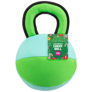 Cool Vibes Lightweight Carry Ball Dog Toy - Blue & Green