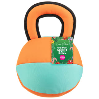 Cool Vibes Lightweight Carry Ball Dog Toy - Orange & Blue