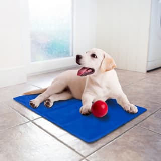 Chilli Paws Pet Cooling Mat - Large