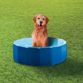 Chilli Paws Pet Paddling Pool - Extra Large