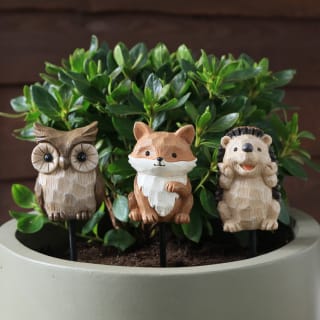 Animal Pot Sticks - Natural