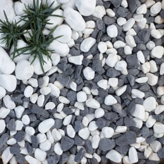 407017-moonlight-pebbles-bulk-dry