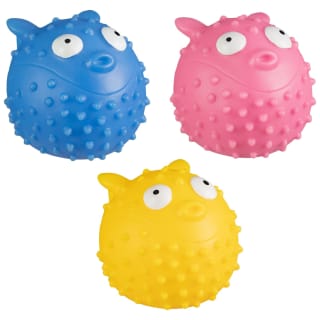 407819-squeaky-fish-group