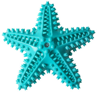 407823-dental-starfish-blue